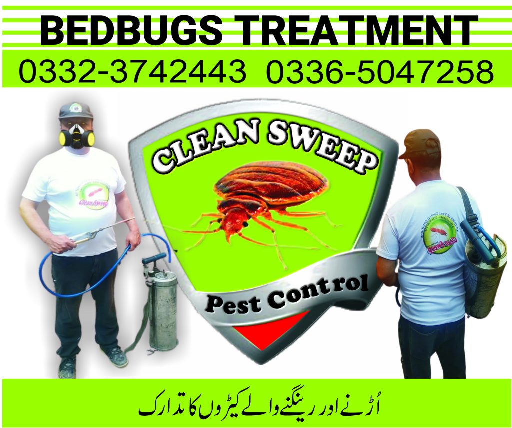 Bedbugs treatment services Islamabad