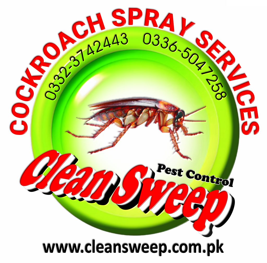Cockroach spray Islamabad
