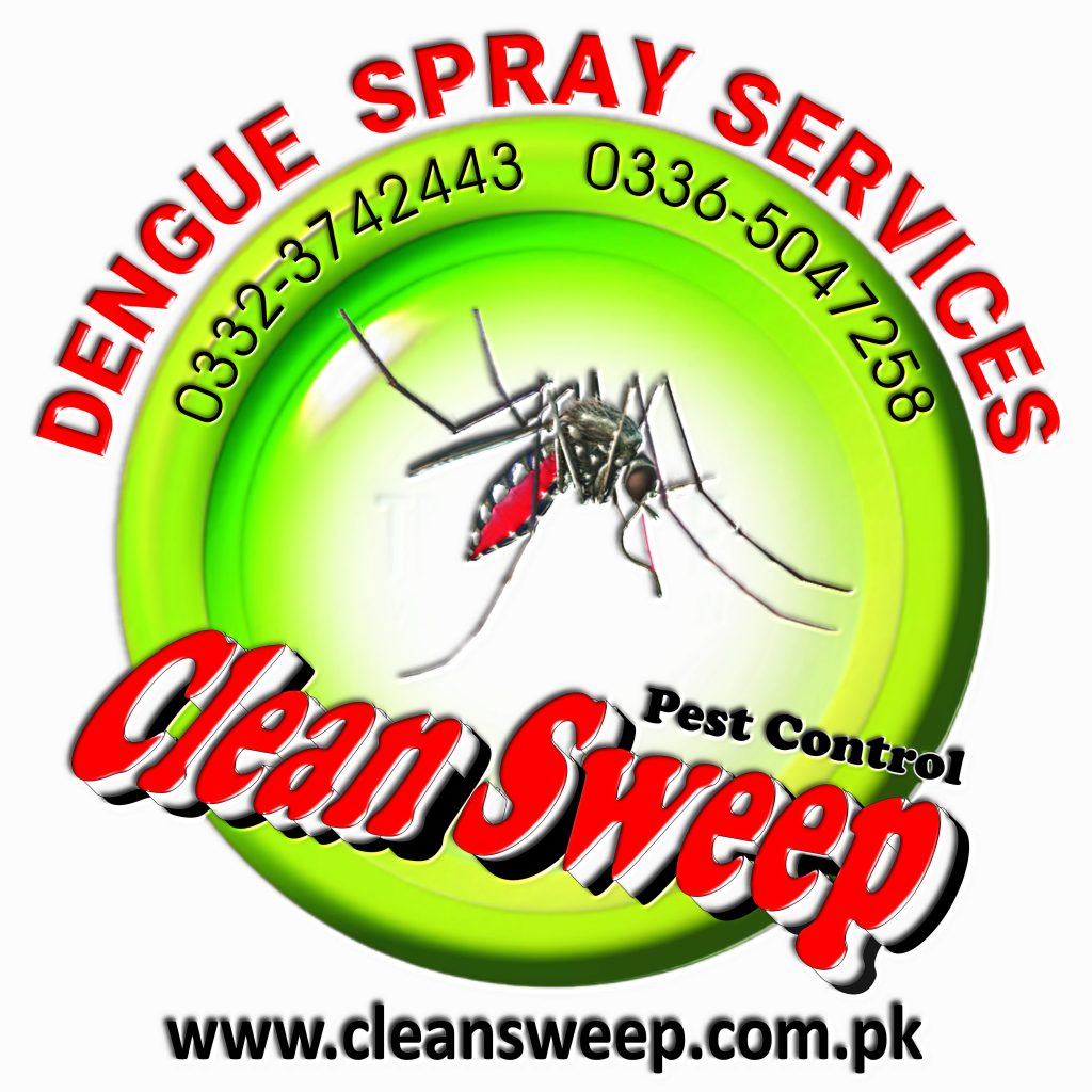 Dengue spray Rawalpindi