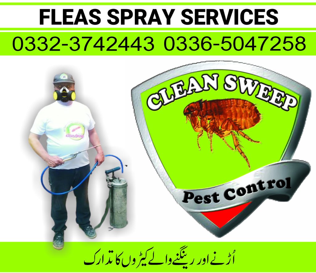 Fleas spray Islamabad