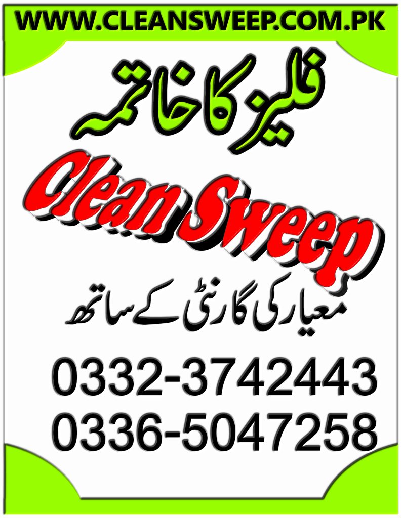 Fleas spray service Islamabad