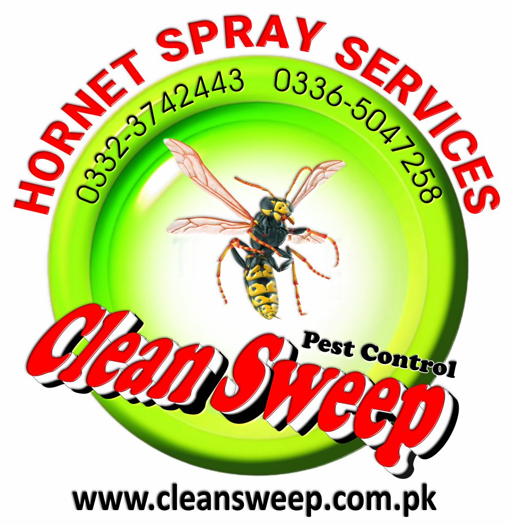 Hornet spray service Islamabad