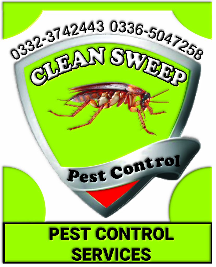 Pest control Islamabad