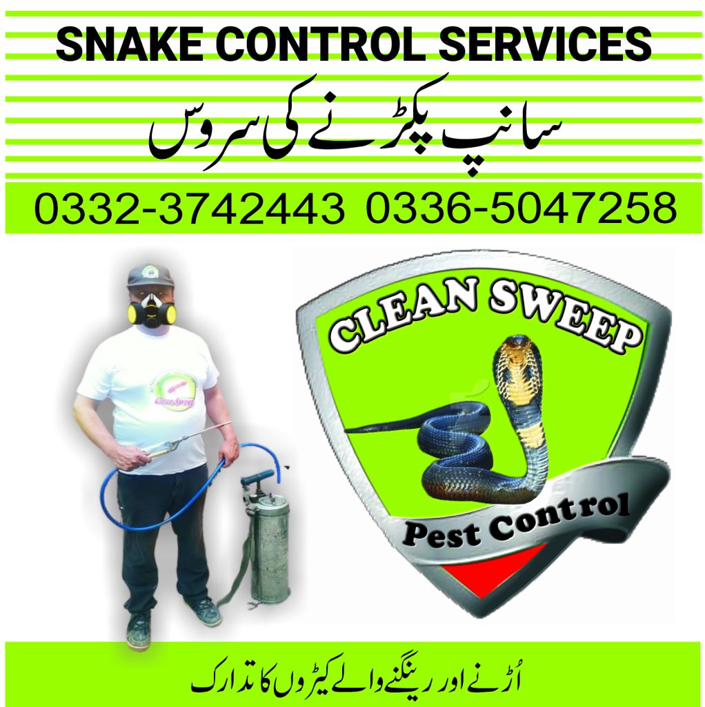 Snake catching service Islamabad