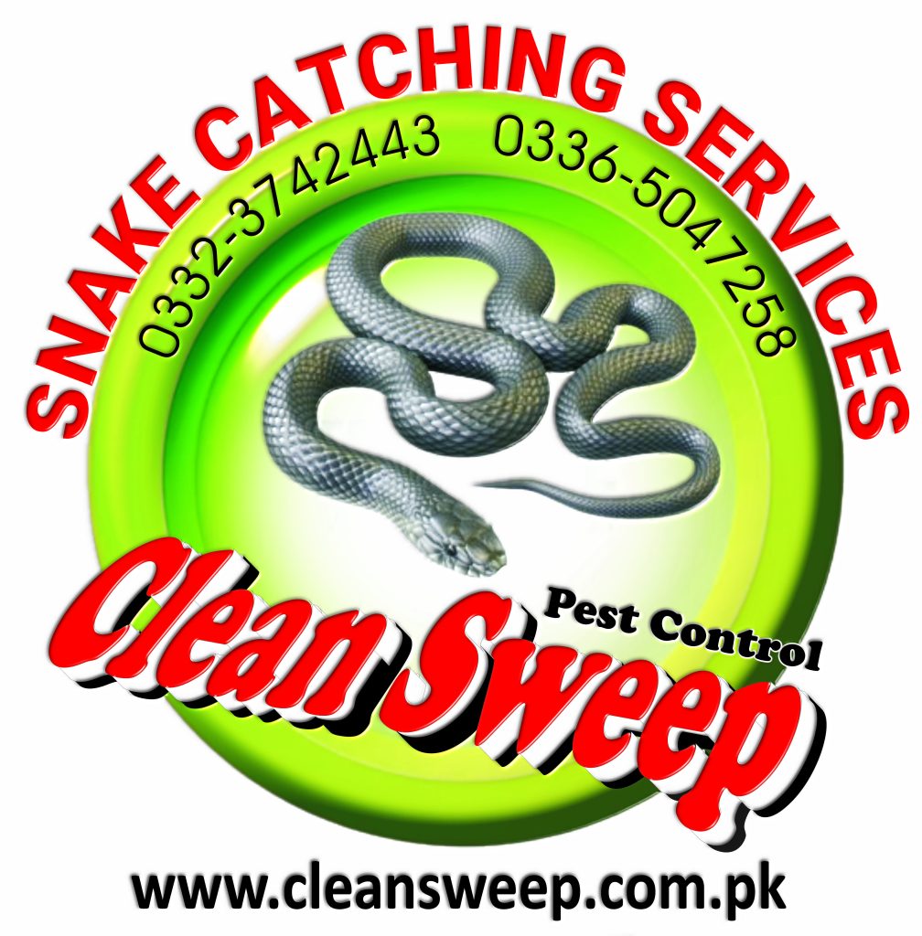 Snake catching service Rawalpindi