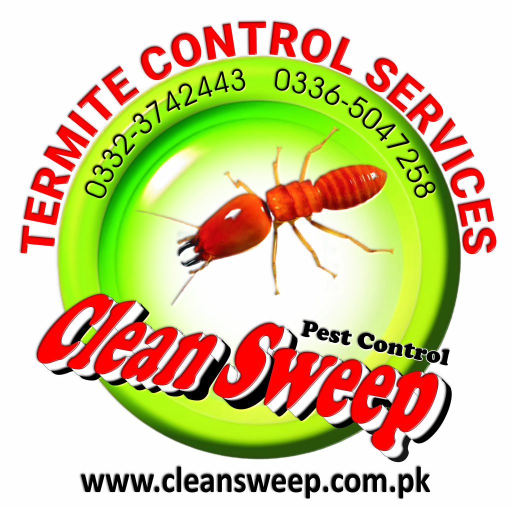 Termite control Rawalpindi