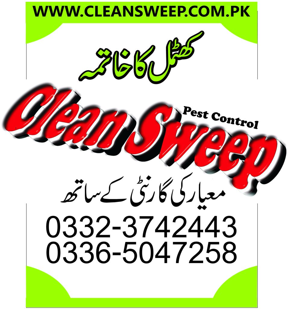 Bedbugs control services Islamabad