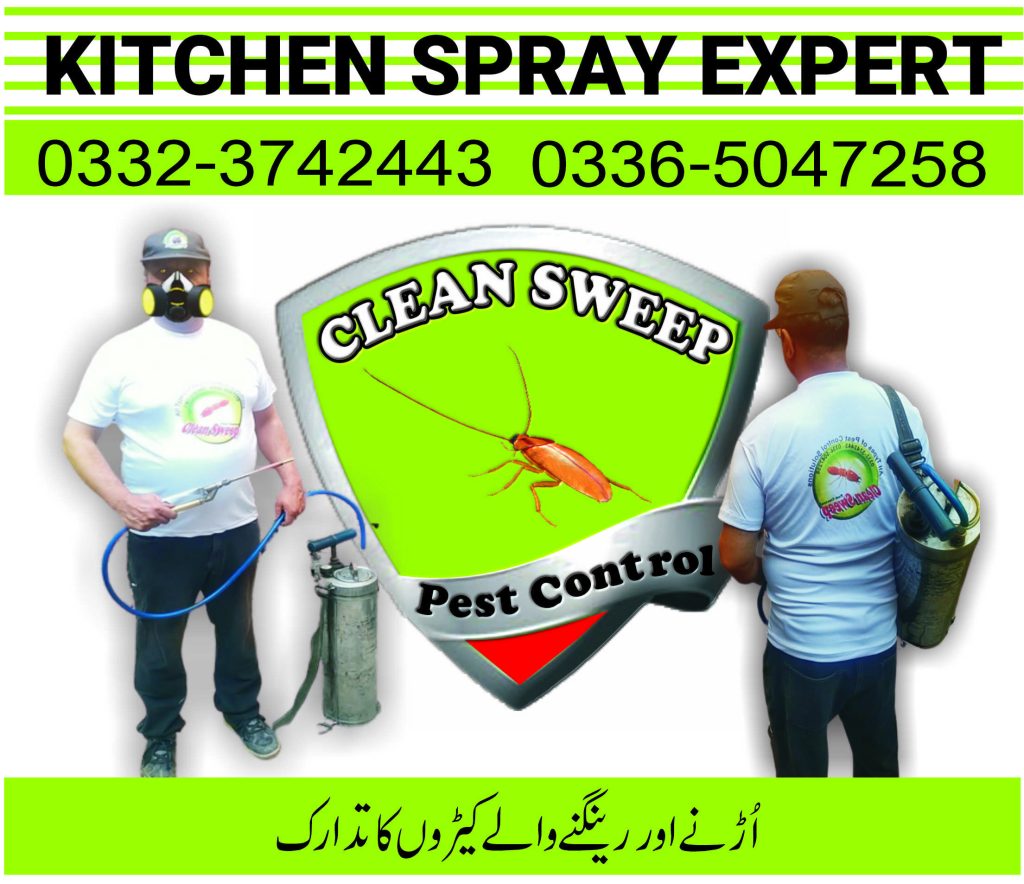 kitchen cockroach spray Islamabad