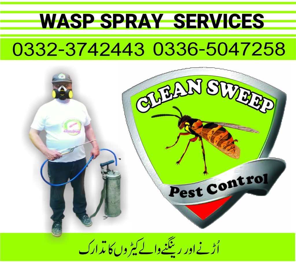 wasp spray Islamabad