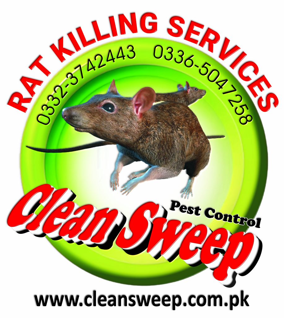 Rat Killing Rawalpindi