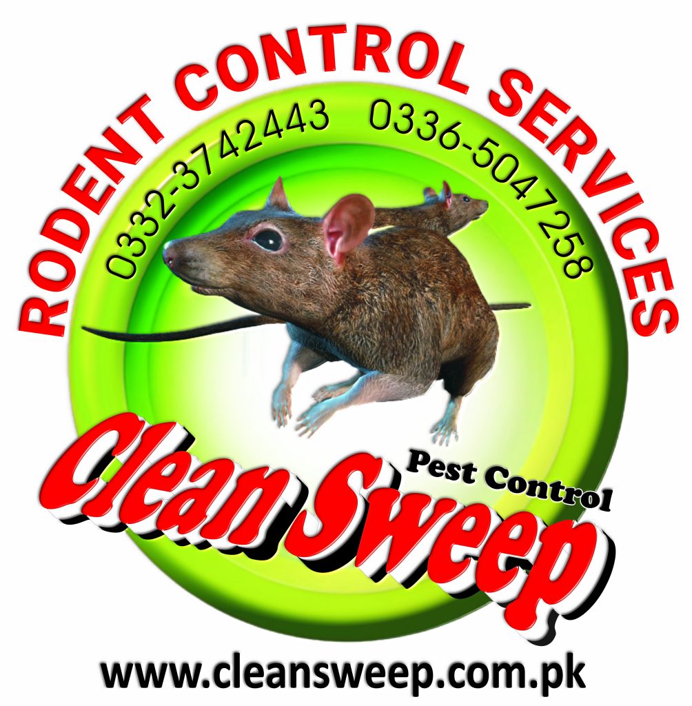Rodent control Islamabad