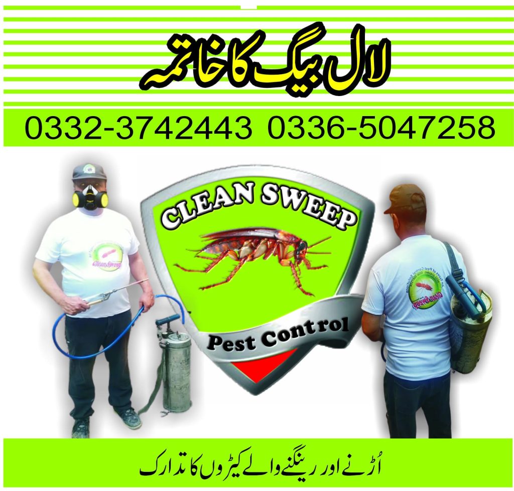 Cockroach control and cockroach spray service in Islamabad and Rawalpindi
