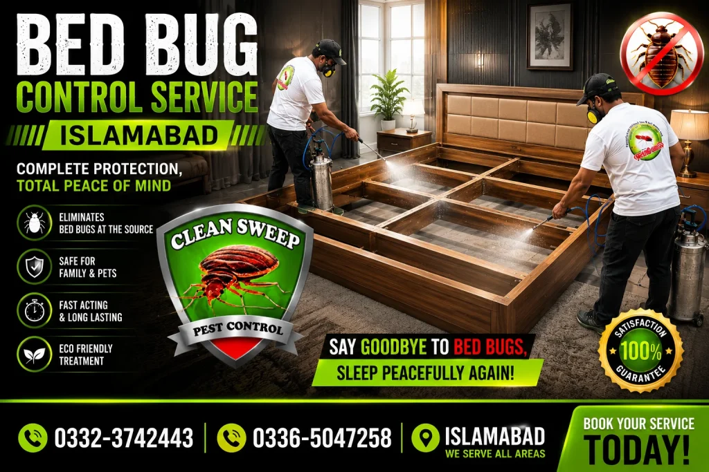 Professional Bed Bug Control Service in Islamabad for homes, apartments, hotels, and commercial properties.