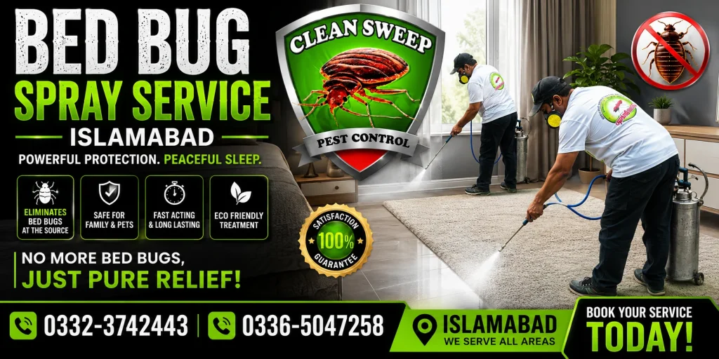 Professional Bed Bug Spray Service in Islamabad for residential and commercial properties