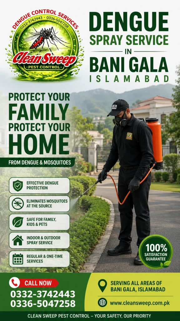 Certified pest control operator applying liquid insecticide for residential dengue spray service in Bani Gala Islamabad to eradicate mosquitoes and larvae.