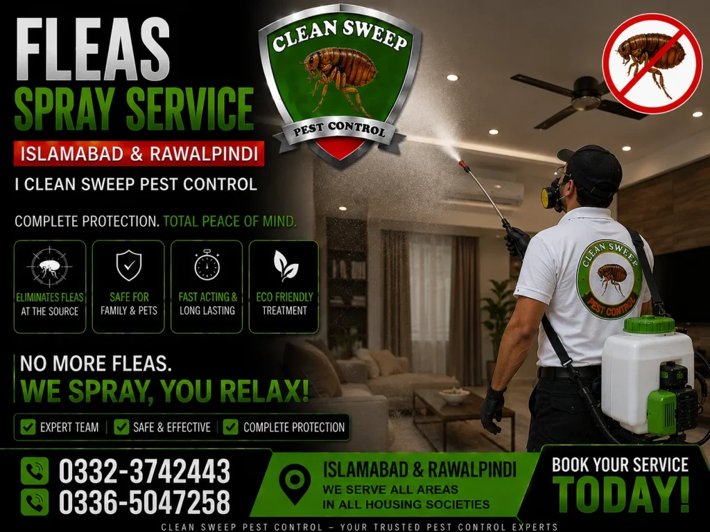 Professional flea spray service in Islamabad by Clean Sweep Pest Control treating homes, offices, carpets, sofas, and pet areas for complete flea control.