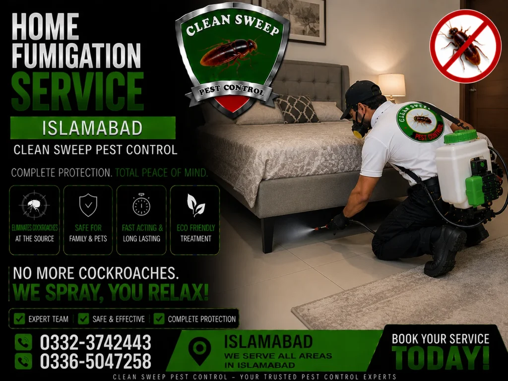 Home fumigation service in Islamabad for houses and apartments