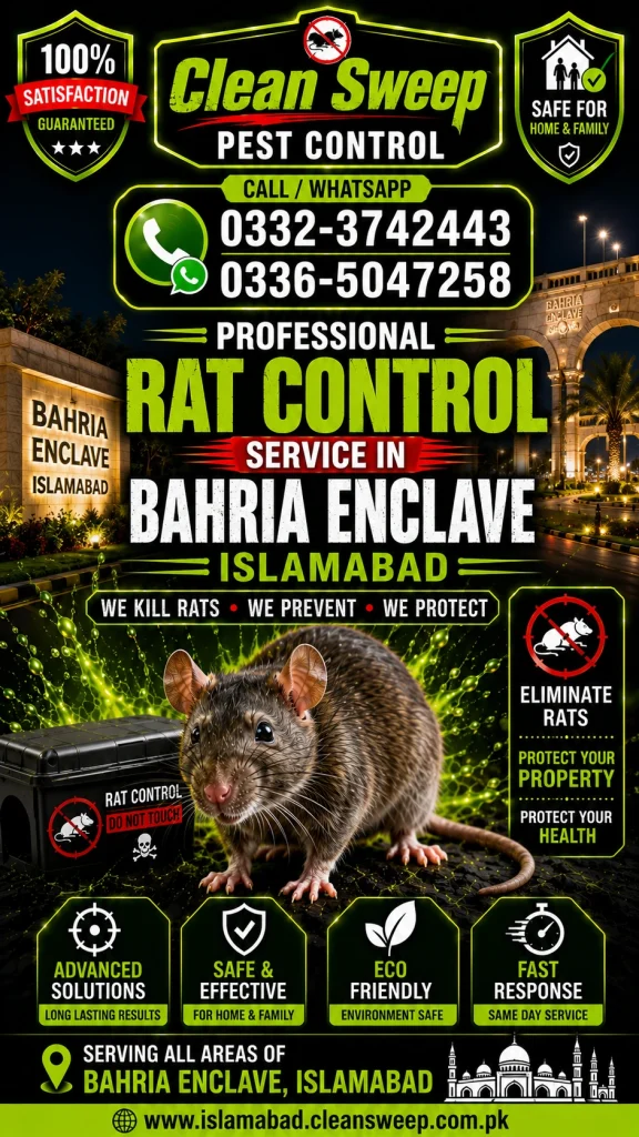 Professional Rat Control Service in Bahria Enclave Islamabad by Clean Sweep Pest Control