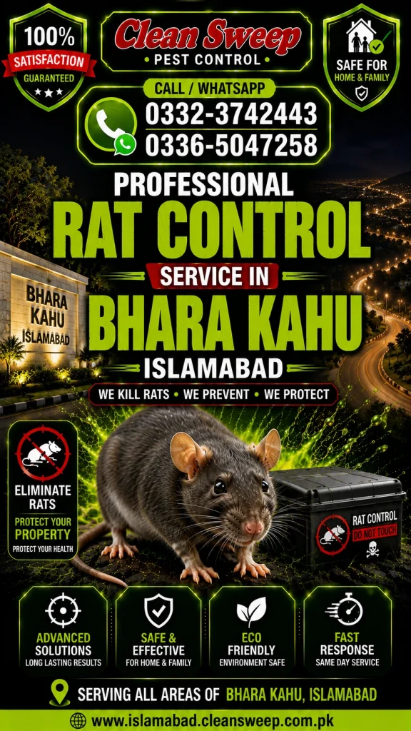 Professional Rat Control Service in Bhara Kahu Islamabad by Clean Sweep Pest Control