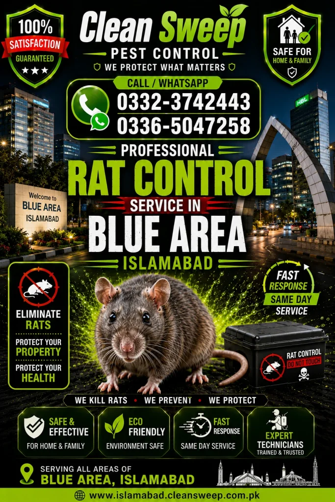 Professional Rat Control Service in Blue Area Islamabad by Clean Sweep Pest Control