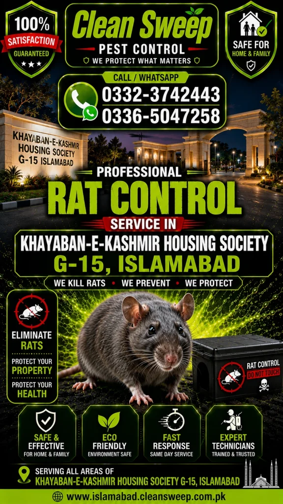 Professional Rat Control Service in Khayaban-e-Kashmir Housing Society G-15 Islamabad by Clean Sweep Pest Control