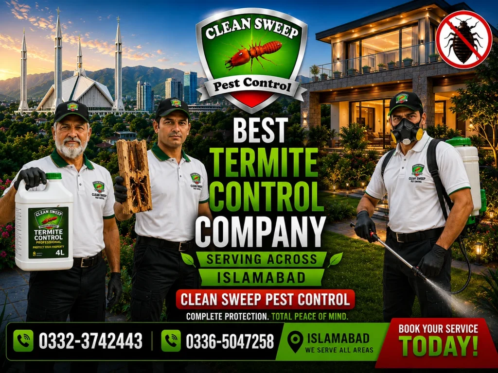 Clean Sweep Pest Control team inspecting termite damage in Islamabad property