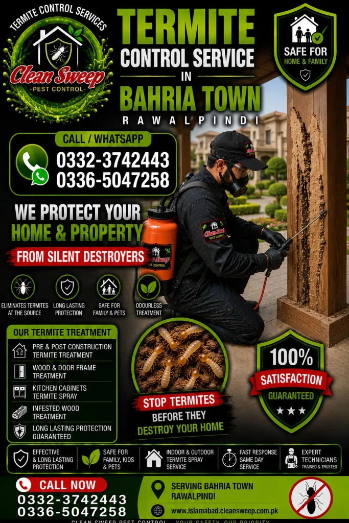 Professional Termite Control Service in Bahria Town Rawalpindi by Clean Sweep Pest Control