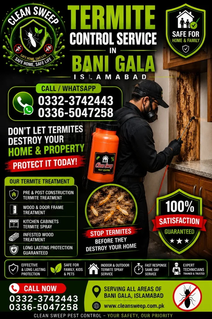 Professional Termite Control Service in Bani Gala Islamabad by Clean Sweep Pest Control