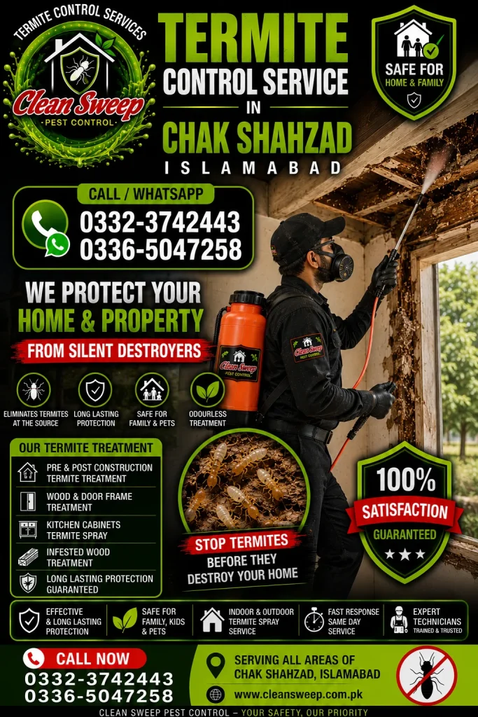 Professional Termite Control Service in Chak Shahzad Islamabad by Clean Sweep Pest Control