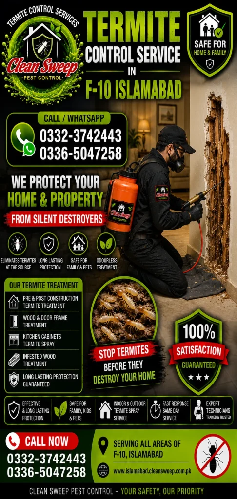 Professional Termite Control Service in F-10 Islamabad by Clean Sweep Pest Control