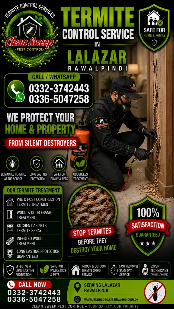Professional Termite Control Service in Lalazar Rawalpindi by Clean Sweep Pest Control