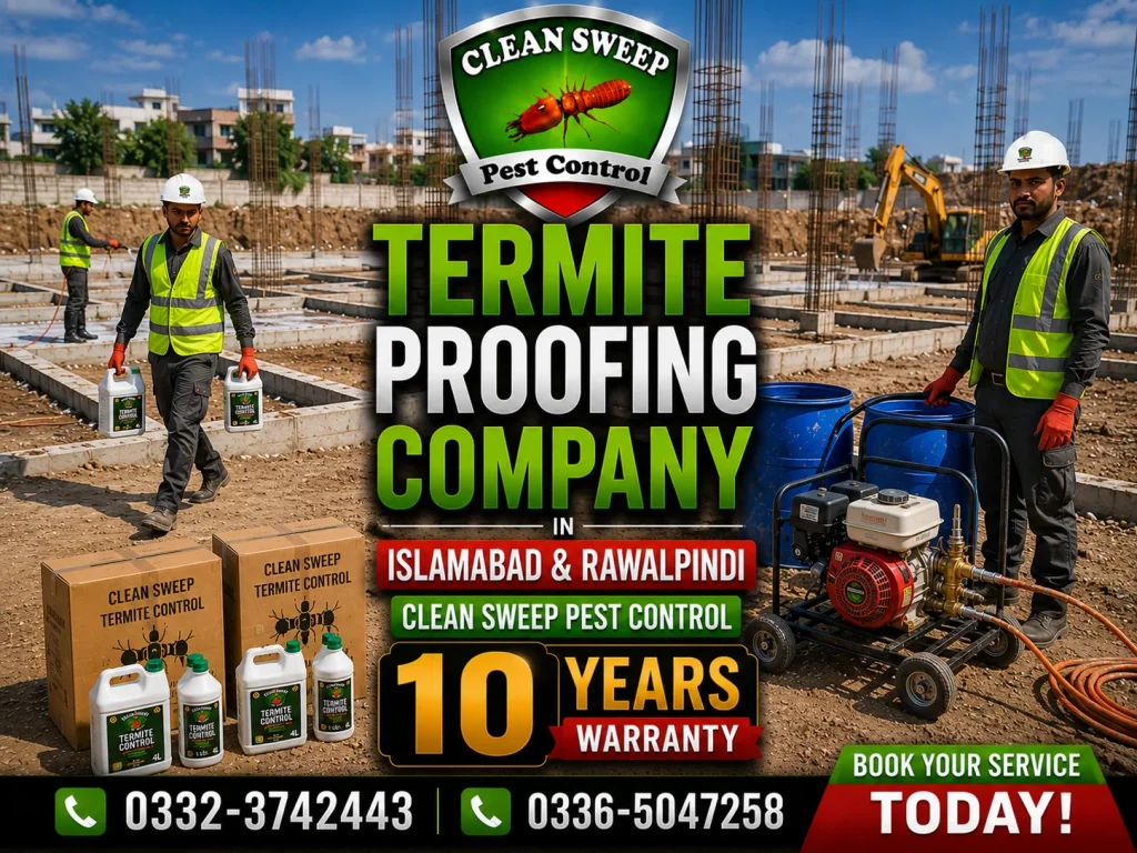 Professional Termite Proofing Company in Islamabad and Rawalpindi providing anti termite protection services