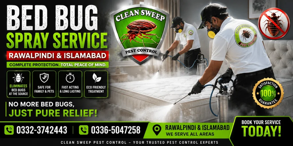Clean Sweep Pest Control technicians providing professional Bed Bug Spray Service in Islamabad and Rawalpindi using advanced residual insecticide treatments to eliminate bed bugs (Khatmal) from homes, apartments, hotels, hostels, offices and commercial properties.